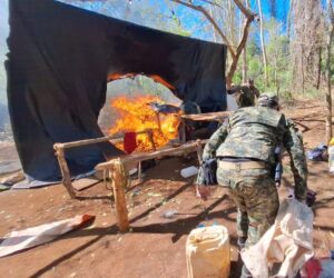 Destruyen más de 3.200 kilos de marihuana y campamentos en Pedro Juan Caballero
