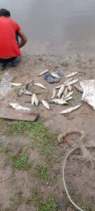 Pescadores de Itapé responsabilizan a Azpa por derrame químico que habría causado mortandad de peces
