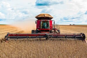 Soja y Carne: UGP destaca clima y precios positivos – ABC Rural