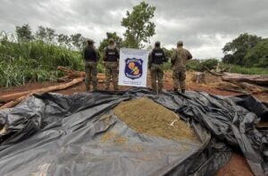Incineran 1.600 kilos de marihuana en Capitán Bado