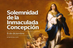 Hoy celebramos la Solemnidad de la Inmaculada Concepción