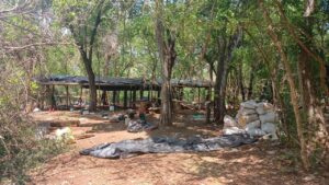 PJC: Desmantelan laboratorio clandestino y destruyen más de tres toneladas de marihuana