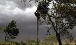 Anuncian sábado caluroso y con tormentas eléctricas