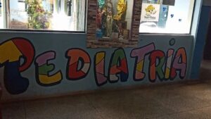 Niño de 2 años es mordido por una serpiente yarará mientras jugaba en Bella Vista Norte