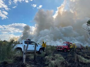 Reportan varios incendios de pastizales en Concepción