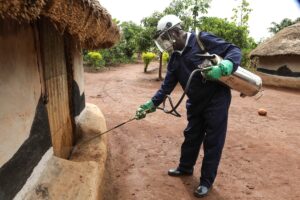 Un año de buena historia y problemas de salud global | Planeta futuro