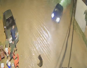 Video: adulto mayor y su mascota pierden la vida tras ser atropellados en Luque