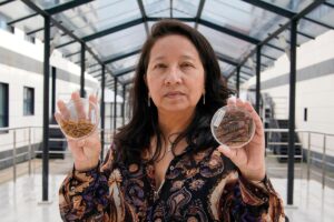 Ligia E. Díaz, del CSIC: «Antes comíamos ‘sushi’ y ahora lo comemos, ¿por qué no comer insectos?» | | Clima y naturaleza